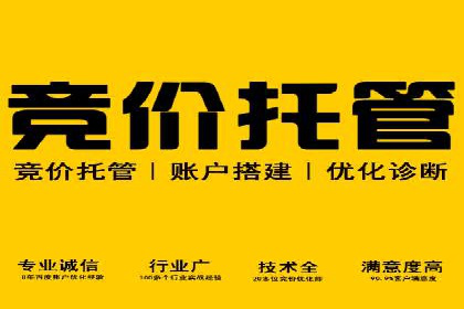 深入解析sem代运营推广公司的成功策略及效果